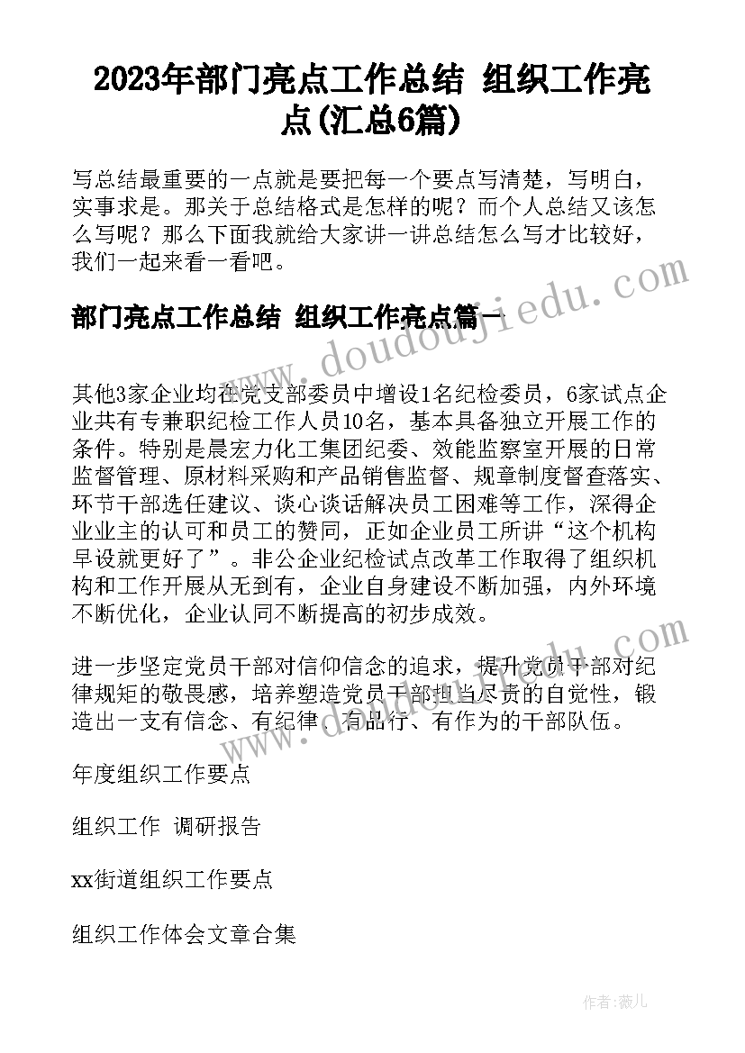 2023年部门亮点工作总结 组织工作亮点(汇总6篇)