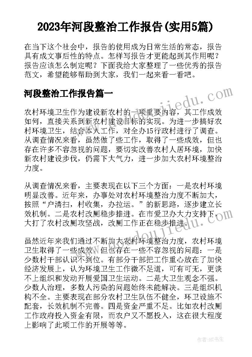 2023年河段整治工作报告(实用5篇)