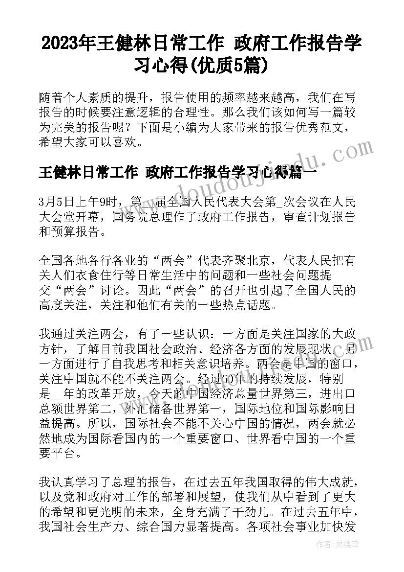 2023年王健林日常工作 政府工作报告学习心得(优质5篇)