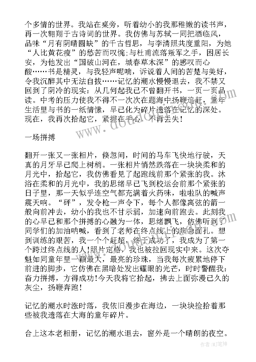 讨论政府报告个人发言材料(大全5篇)