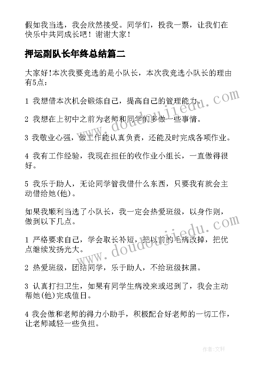 2023年押运副队长年终总结(大全7篇)