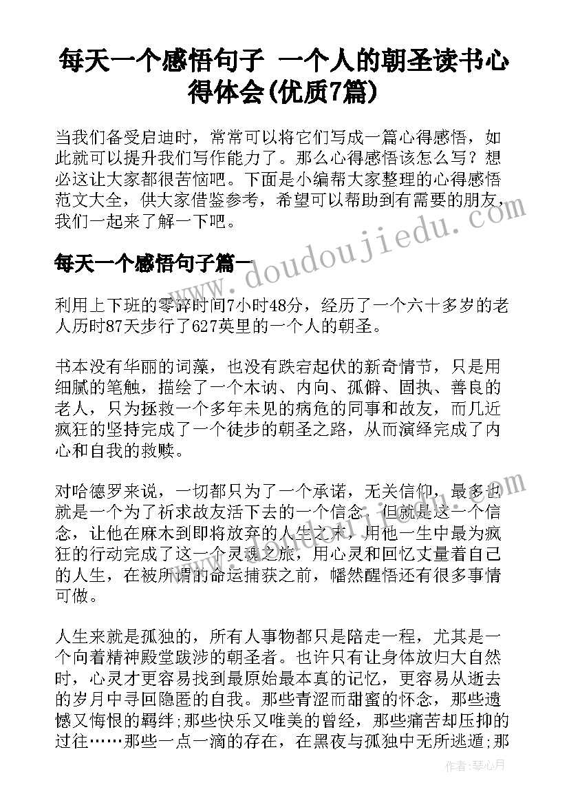 每天一个感悟句子 一个人的朝圣读书心得体会(优质7篇)