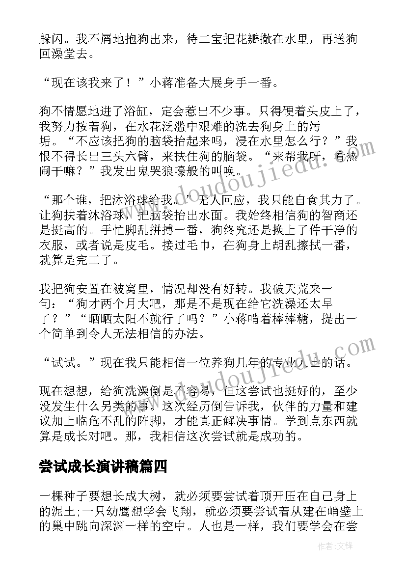 2023年尝试成长演讲稿 在尝试中成长(优秀10篇)