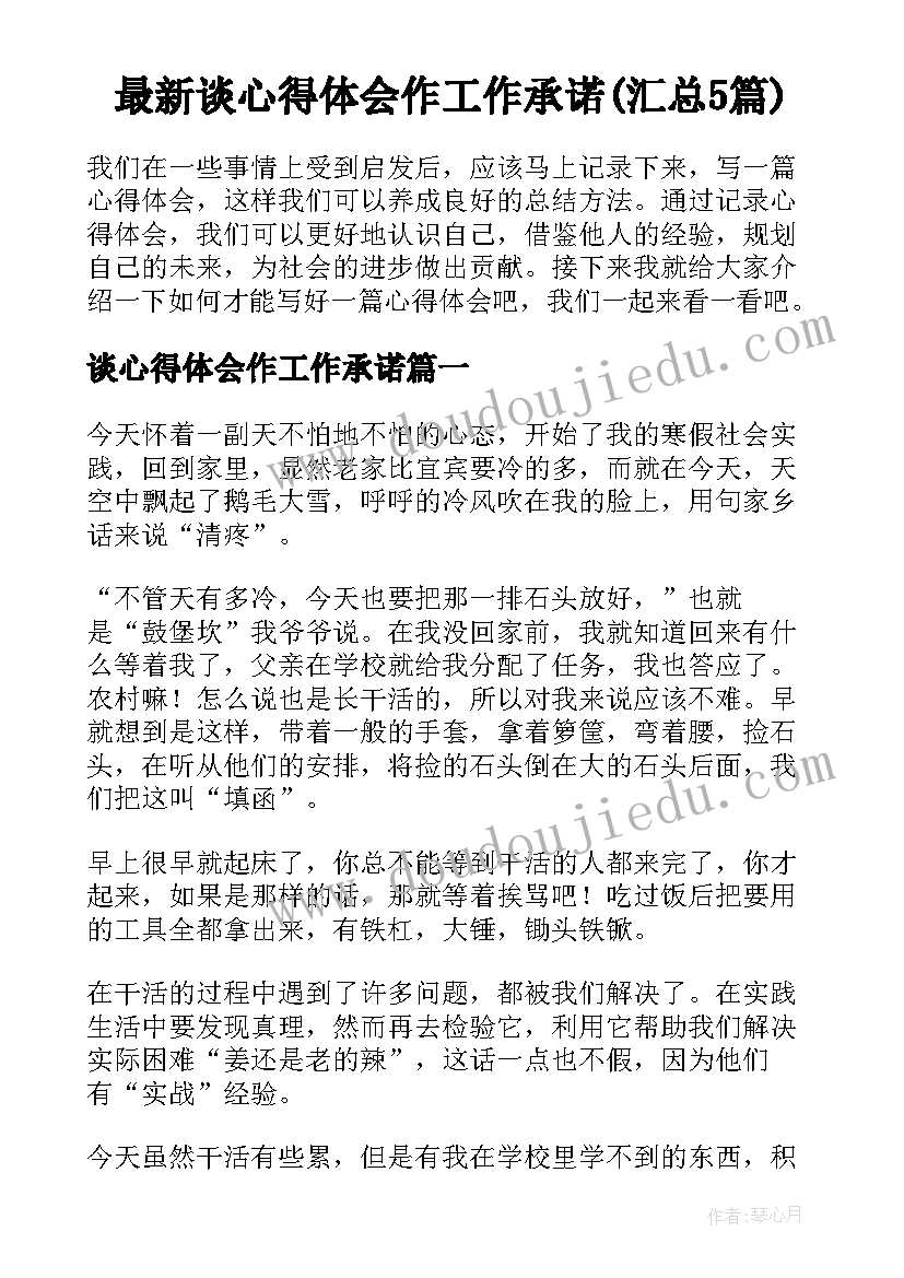 最新谈心得体会作工作承诺(汇总5篇)