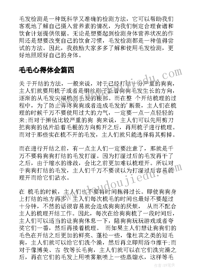 最新毛毛心得体会(模板5篇)