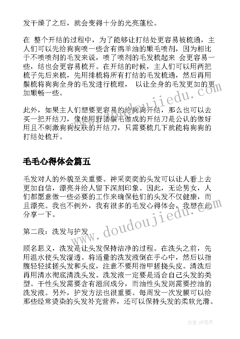 最新毛毛心得体会(模板5篇)