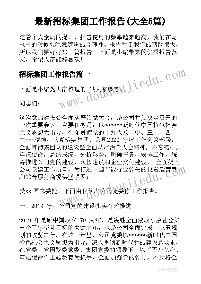 最新招标集团工作报告(大全5篇)