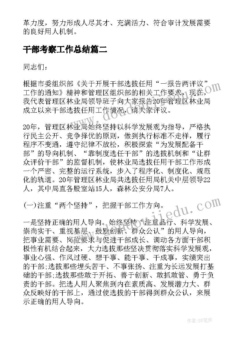 2023年干部考察工作总结(通用7篇)