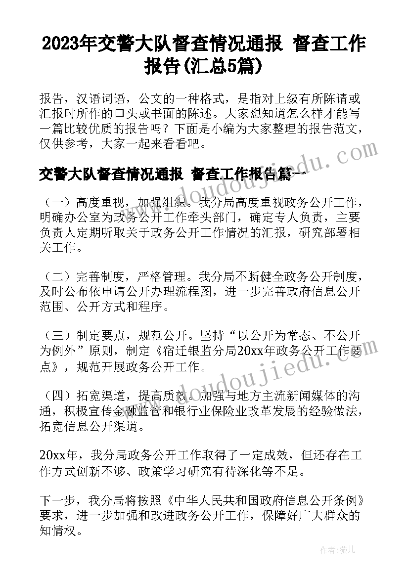 2023年交警大队督查情况通报 督查工作报告(汇总5篇)