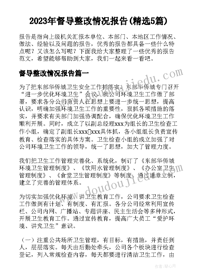 2023年督导整改情况报告(精选5篇)