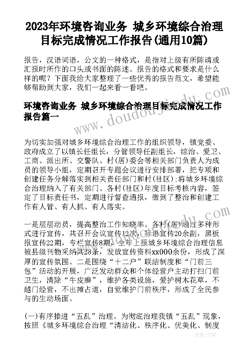 2023年环境咨询业务 城乡环境综合治理目标完成情况工作报告(通用10篇)