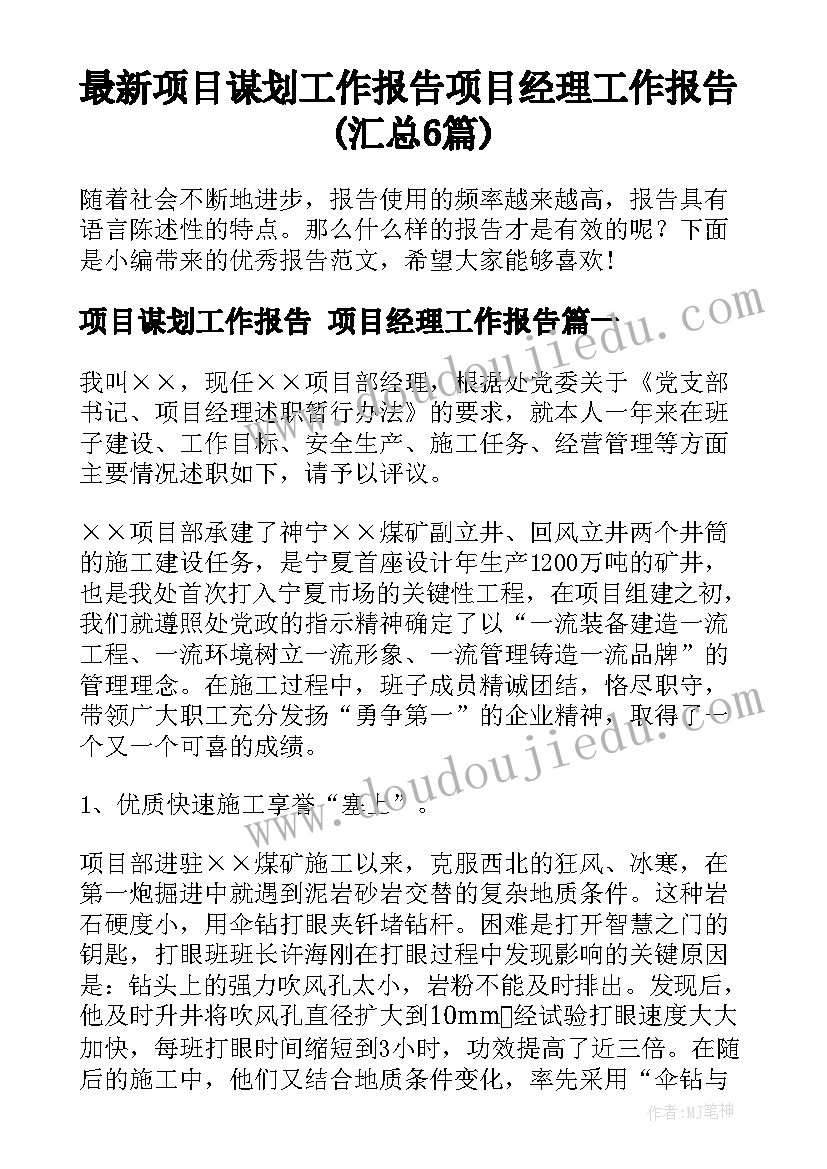 最新项目谋划工作报告 项目经理工作报告(汇总6篇)