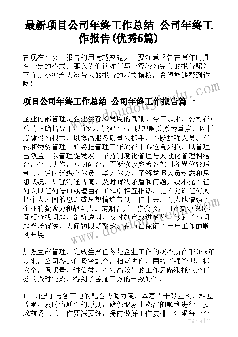 最新项目公司年终工作总结 公司年终工作报告(优秀5篇)