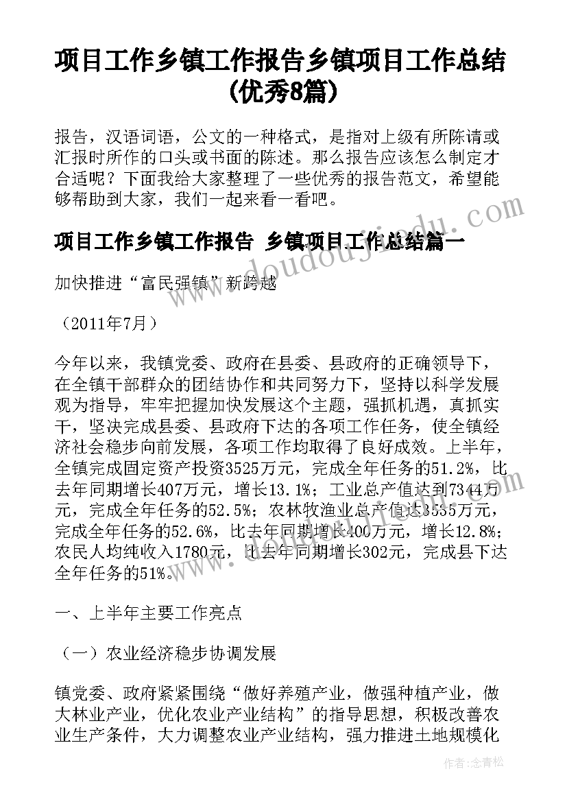 项目工作乡镇工作报告 乡镇项目工作总结(优秀8篇)