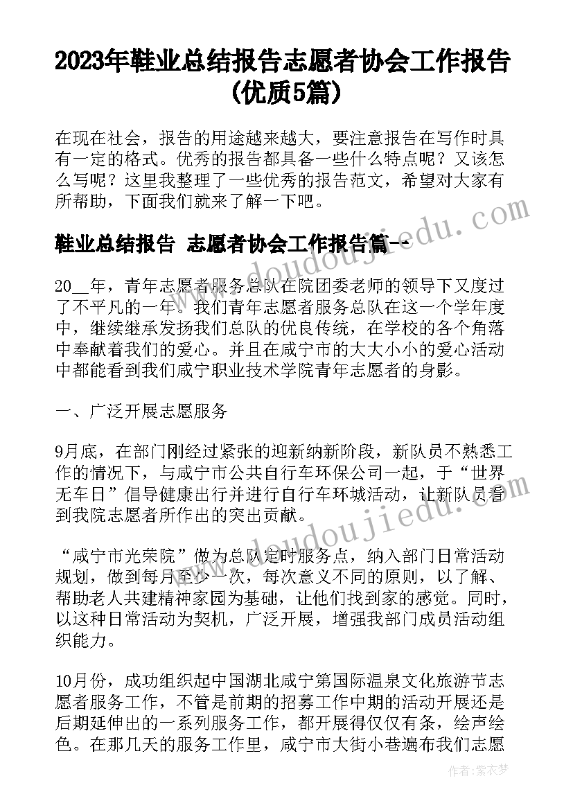 2023年鞋业总结报告 志愿者协会工作报告(优质5篇)