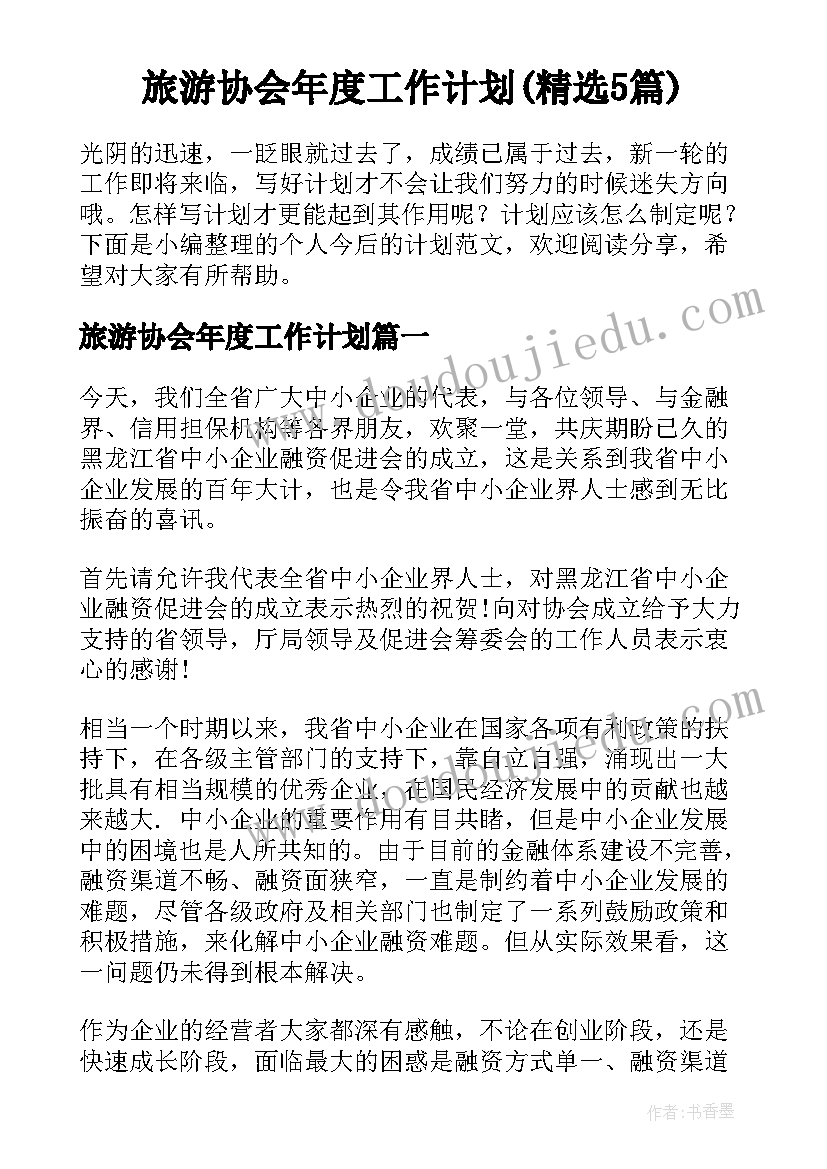 旅游协会年度工作计划(精选5篇)