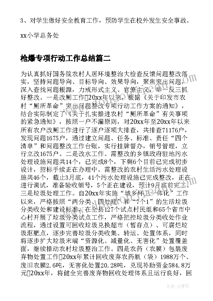 最新枪爆专项行动工作总结(优质5篇)