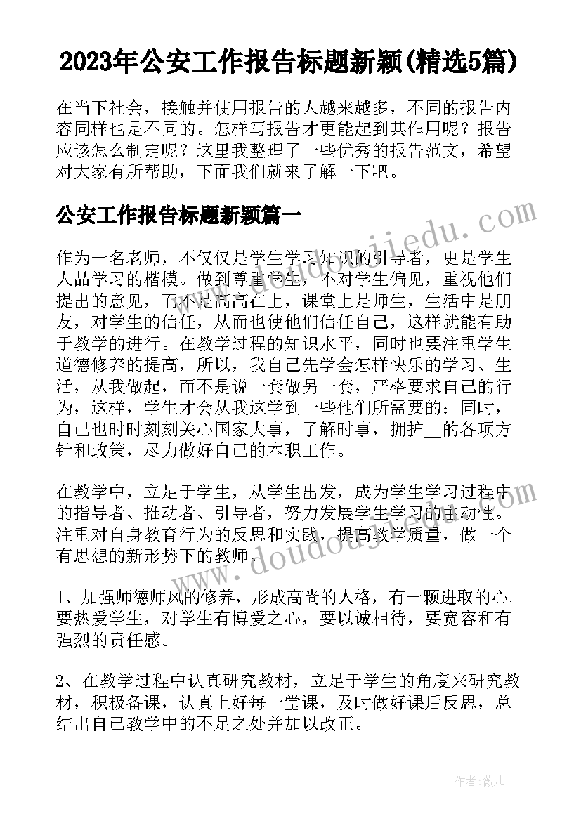 2023年公安工作报告标题新颖(精选5篇)