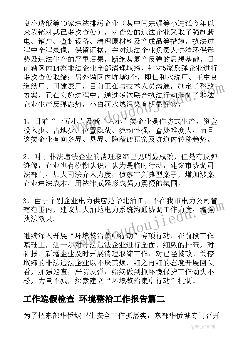 最新工作造假检查 环境整治工作报告(精选5篇)