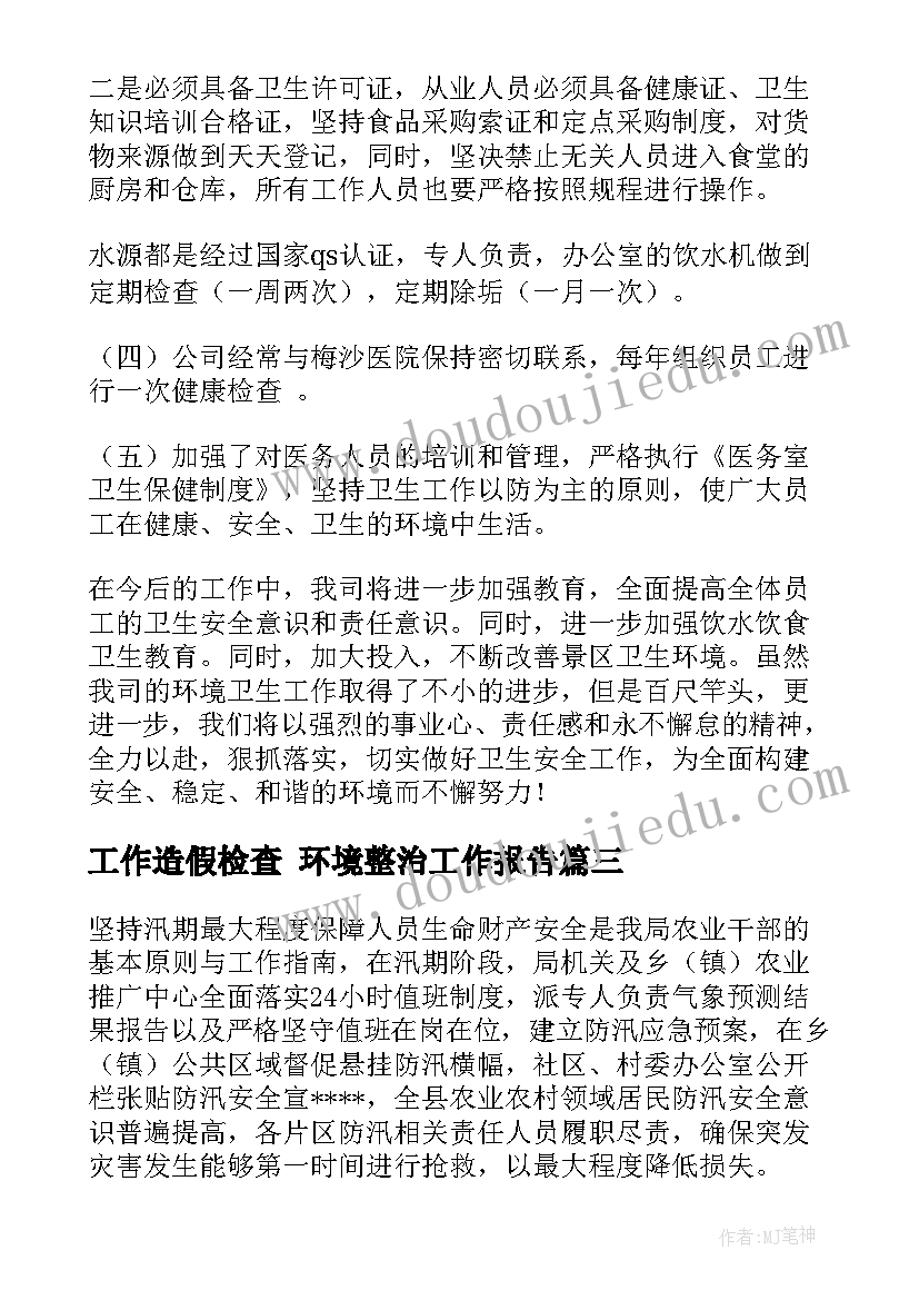 最新工作造假检查 环境整治工作报告(精选5篇)