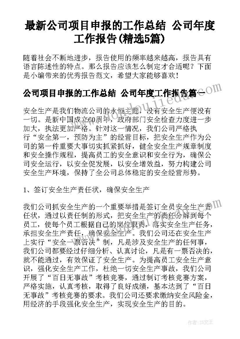 最新公司项目申报的工作总结 公司年度工作报告(精选5篇)