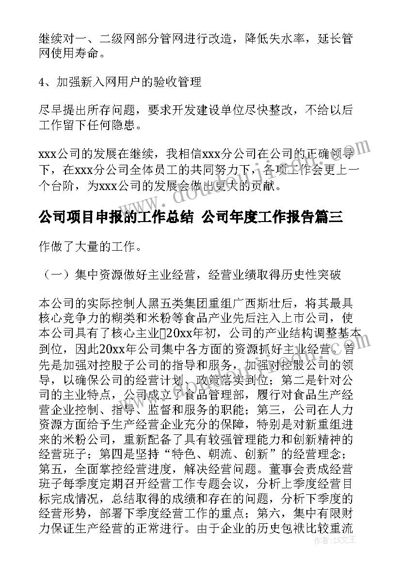 最新公司项目申报的工作总结 公司年度工作报告(精选5篇)