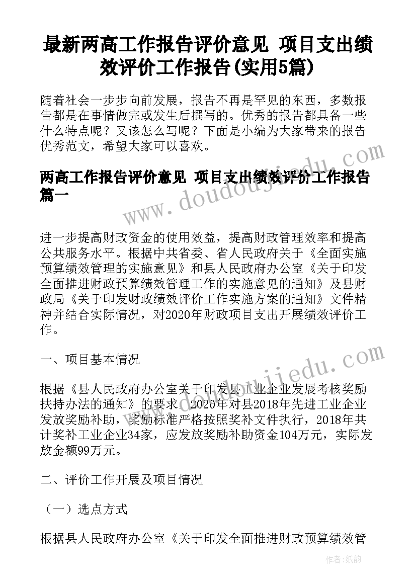 最新两高工作报告评价意见 项目支出绩效评价工作报告(实用5篇)