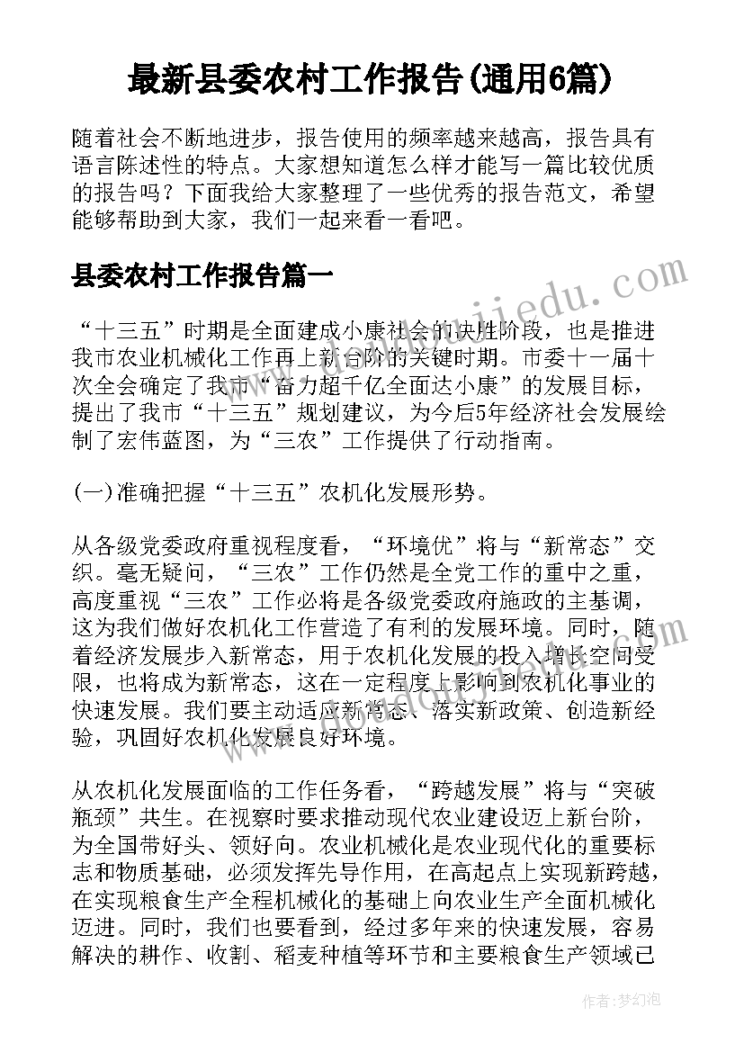 最新县委农村工作报告(通用6篇)