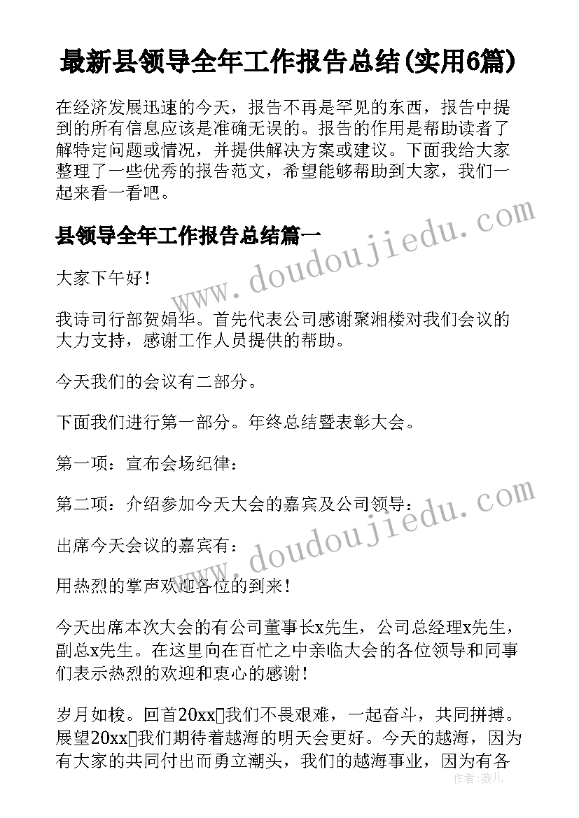 最新县领导全年工作报告总结(实用6篇)