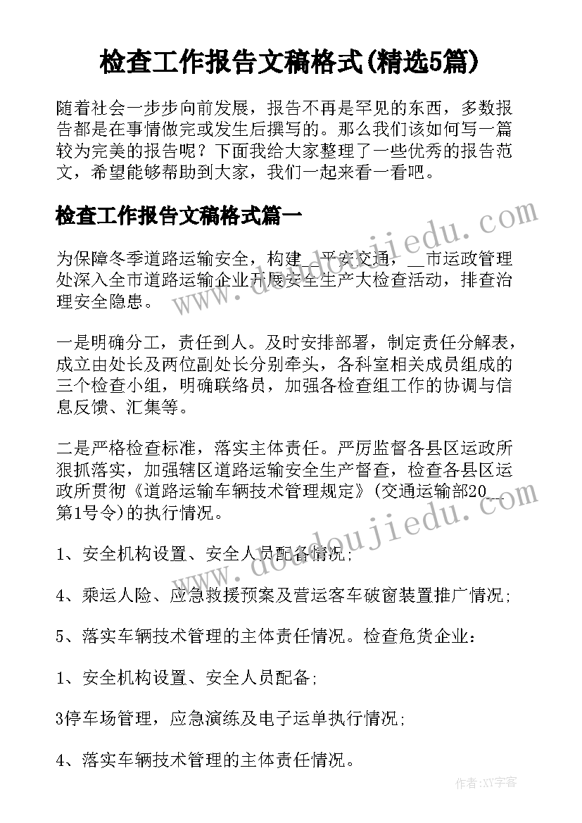 检查工作报告文稿格式(精选5篇)