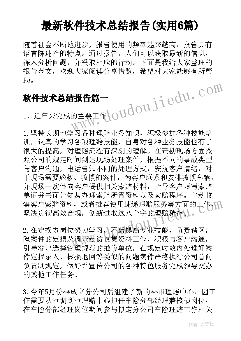 最新软件技术总结报告(实用6篇)