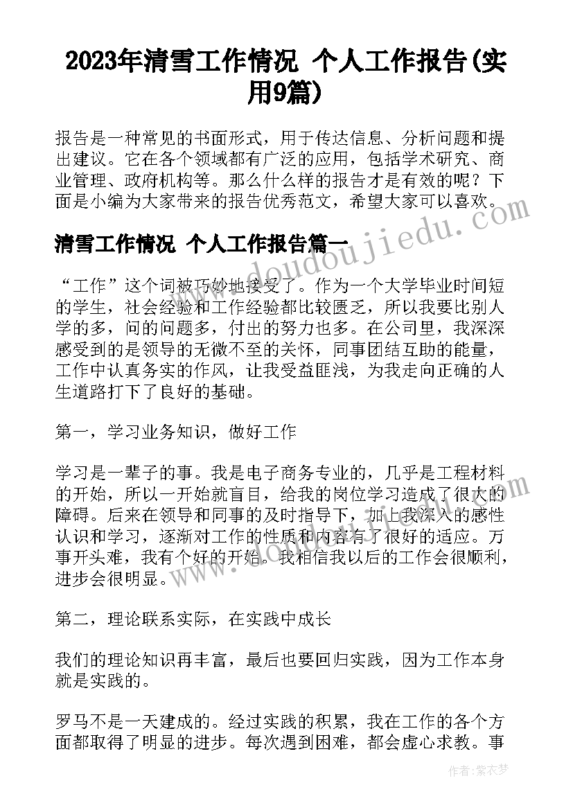 2023年清雪工作情况 个人工作报告(实用9篇)