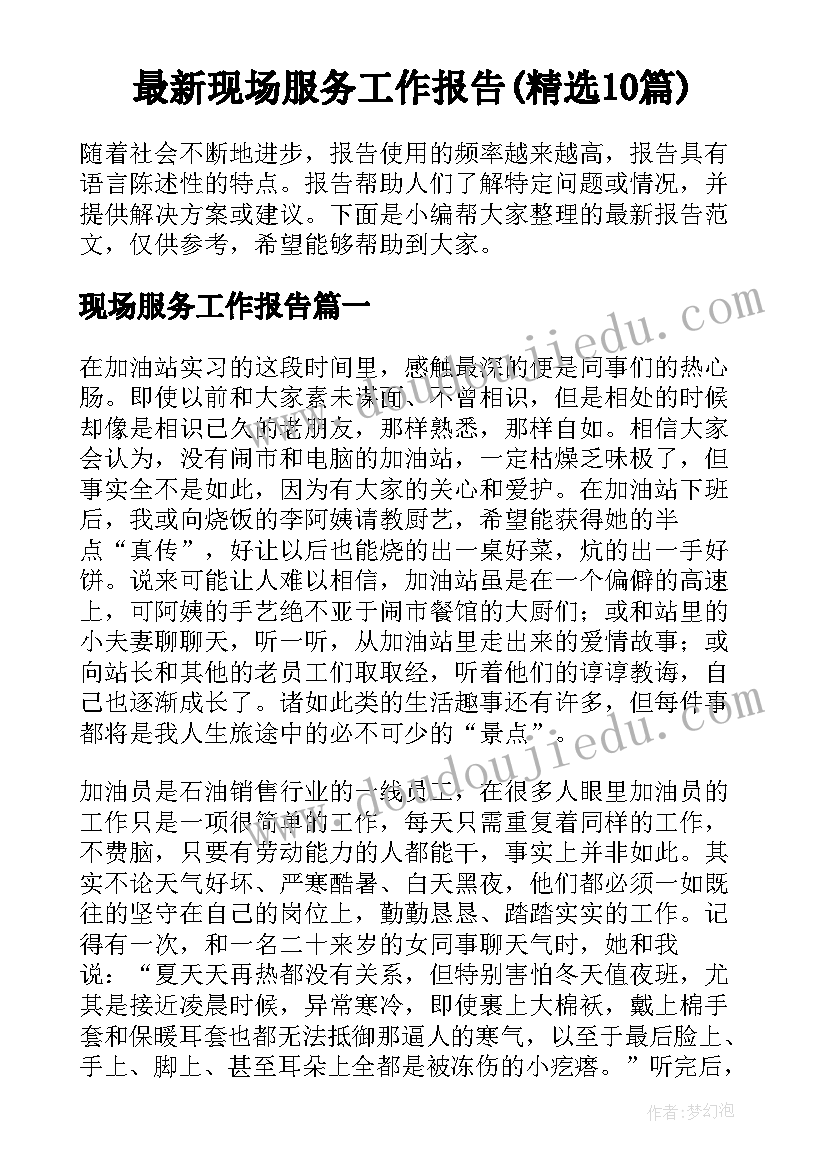 最新现场服务工作报告(精选10篇)