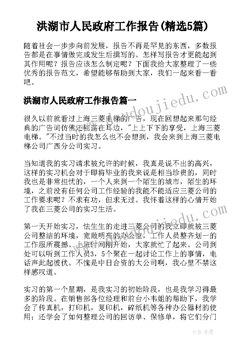 洪湖市人民政府工作报告(精选5篇)