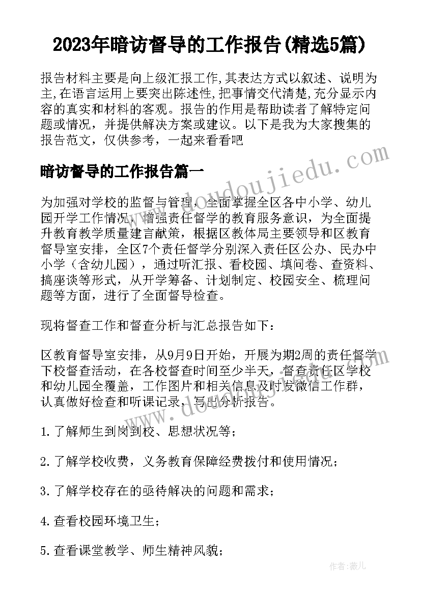 2023年暗访督导的工作报告(精选5篇)