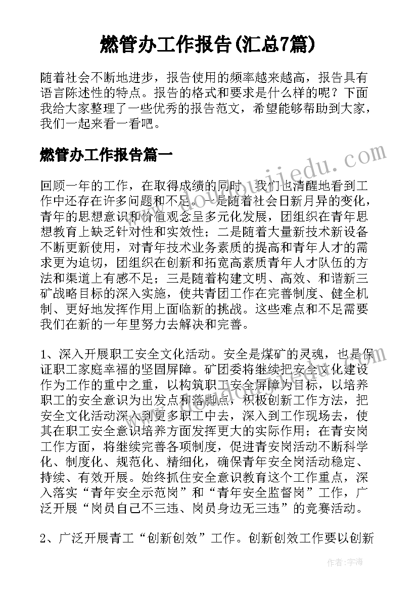 燃管办工作报告(汇总7篇)