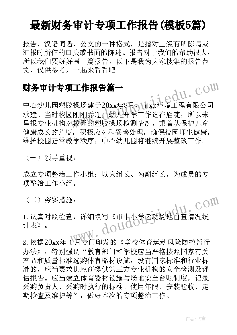 最新财务审计专项工作报告(模板5篇)