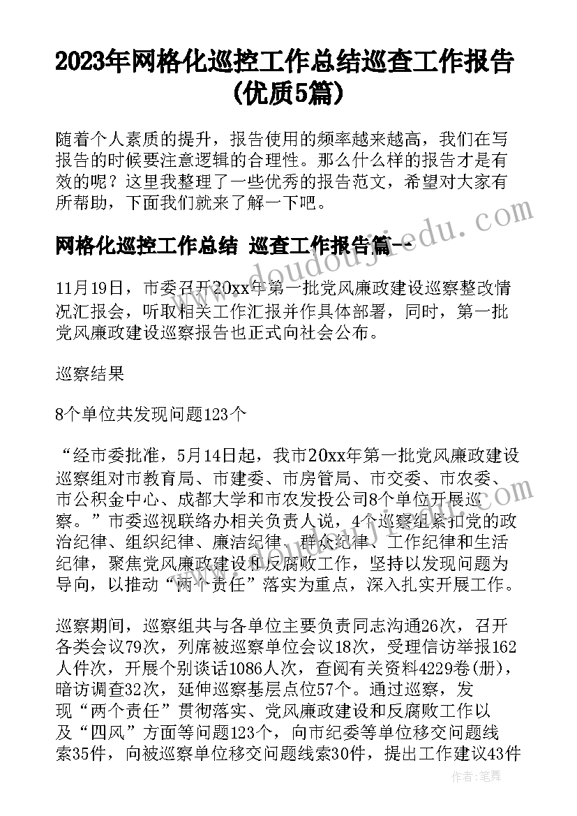 2023年网格化巡控工作总结 巡查工作报告(优质5篇)