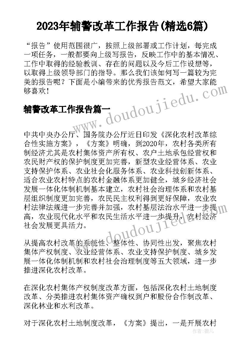 2023年辅警改革工作报告(精选6篇)