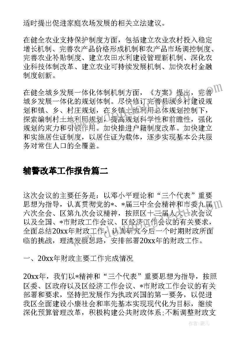 2023年辅警改革工作报告(精选6篇)