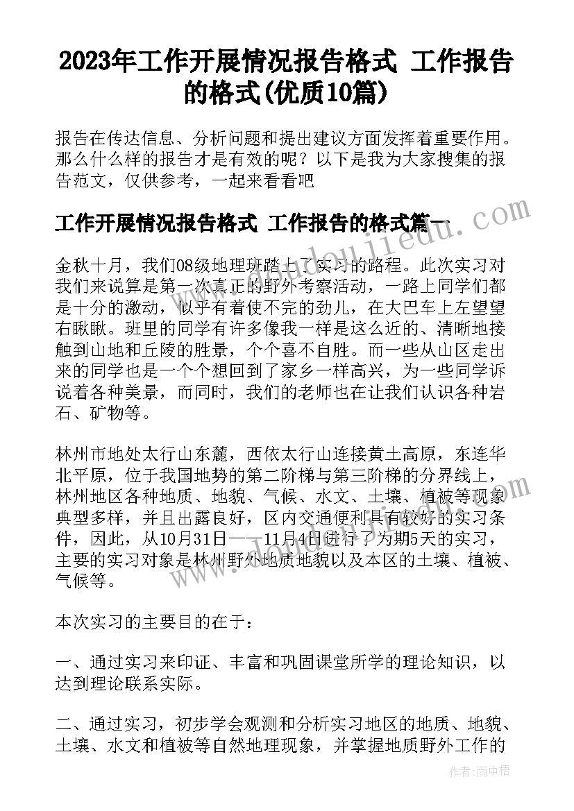 2023年工作开展情况报告格式 工作报告的格式(优质10篇)