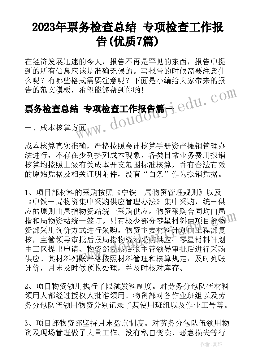 2023年票务检查总结 专项检查工作报告(优质7篇)