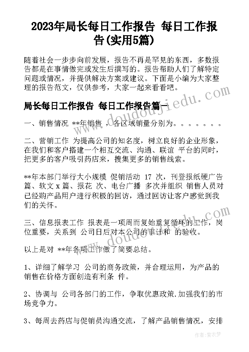 2023年局长每日工作报告 每日工作报告(实用5篇)