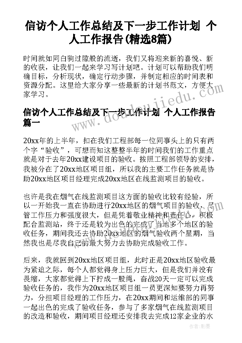 信访个人工作总结及下一步工作计划 个人工作报告(精选8篇)