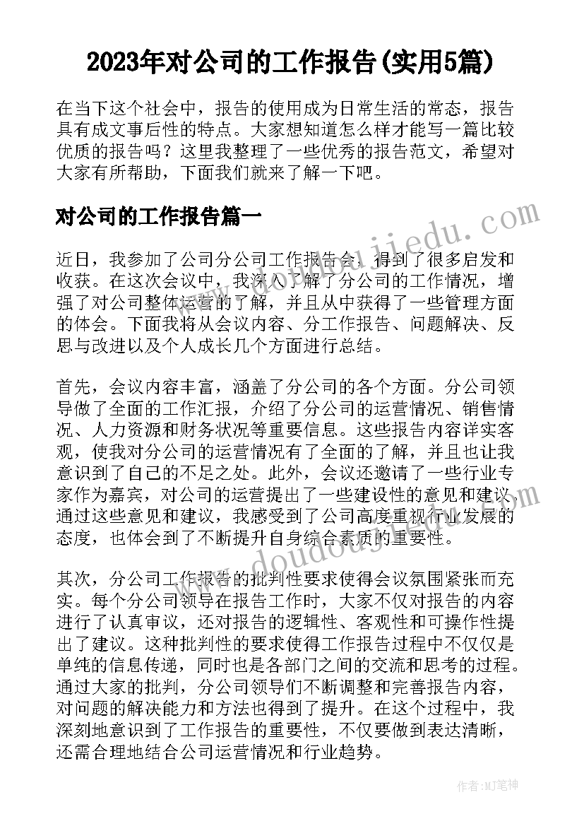 2023年对公司的工作报告(实用5篇)