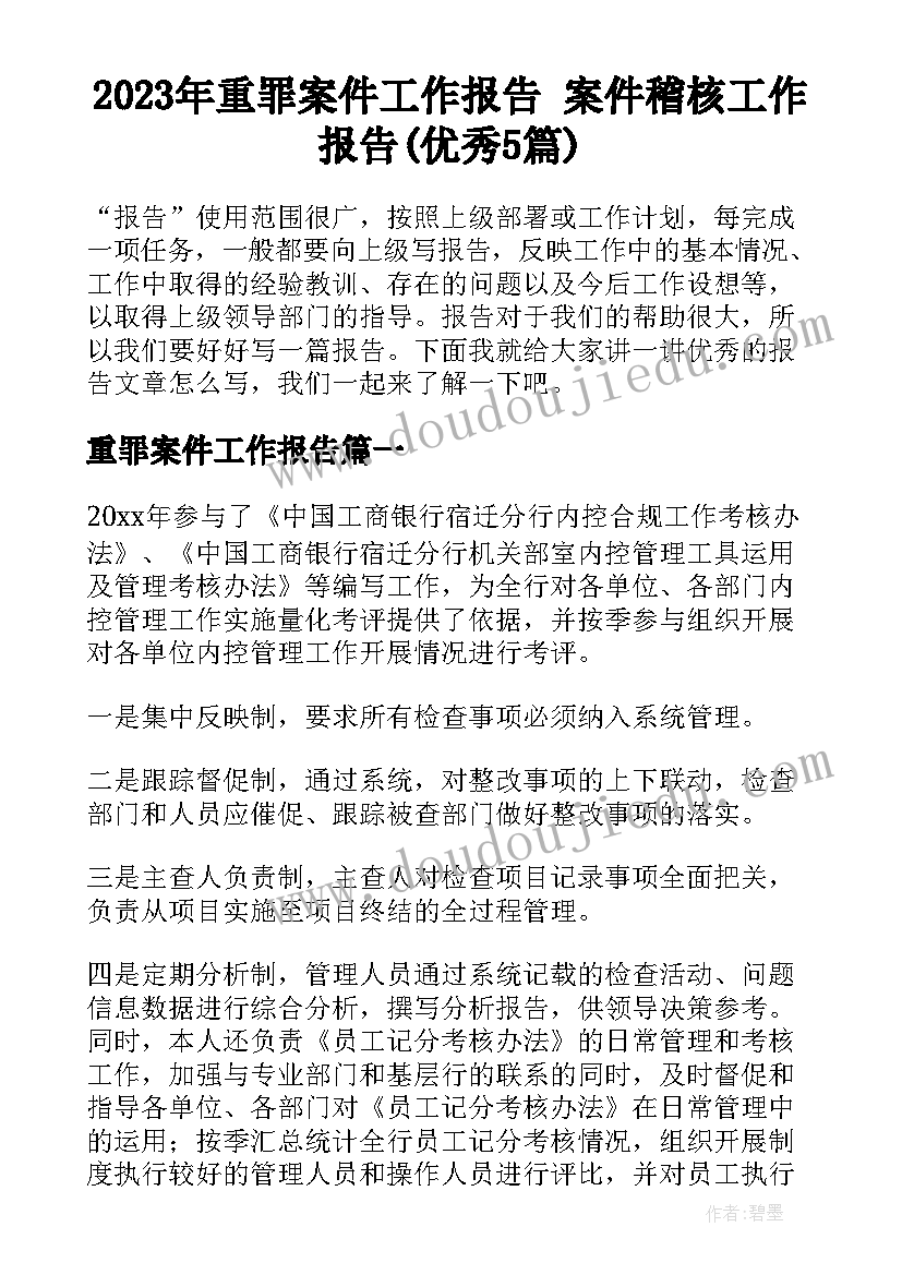 2023年重罪案件工作报告 案件稽核工作报告(优秀5篇)