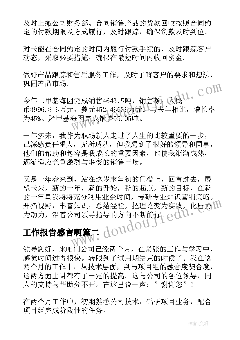 最新工作报告感言啊(通用7篇)