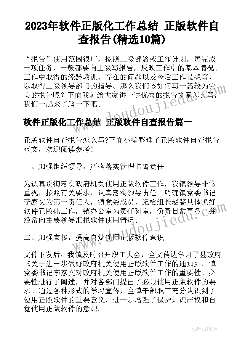 2023年软件正版化工作总结 正版软件自查报告(精选10篇)