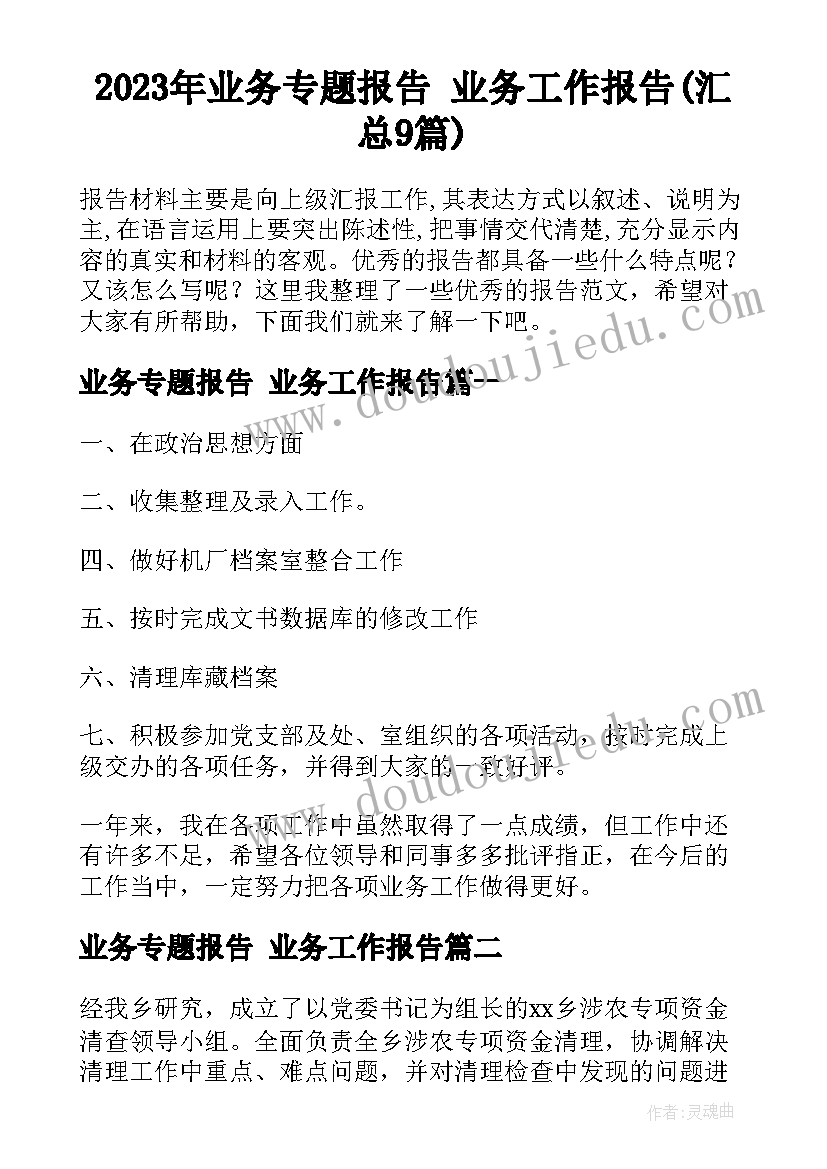 2023年业务专题报告 业务工作报告(汇总9篇)