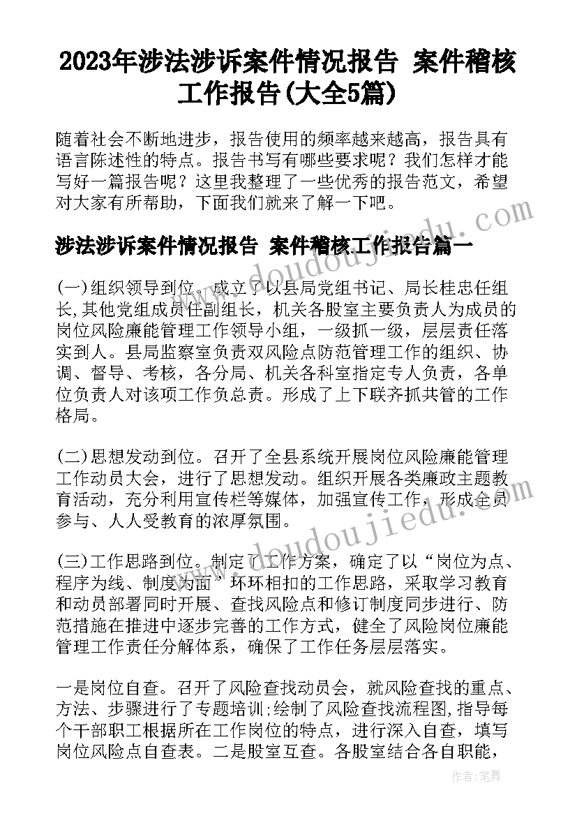 2023年涉法涉诉案件情况报告 案件稽核工作报告(大全5篇)